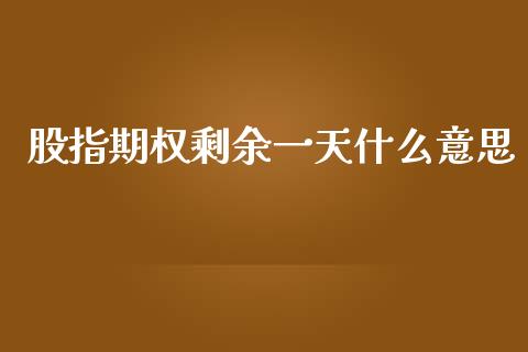 股指期权剩余一天什么意思_https://m.fansifence.com_公募基金_第1张