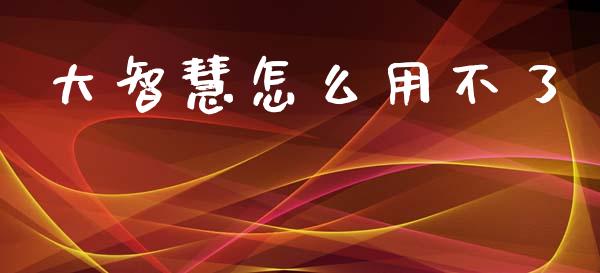 大智慧怎么用不了_https://m.fansifence.com_消费金融_第1张