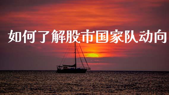 如何了解股市国家队动向_https://m.fansifence.com_消费金融_第1张