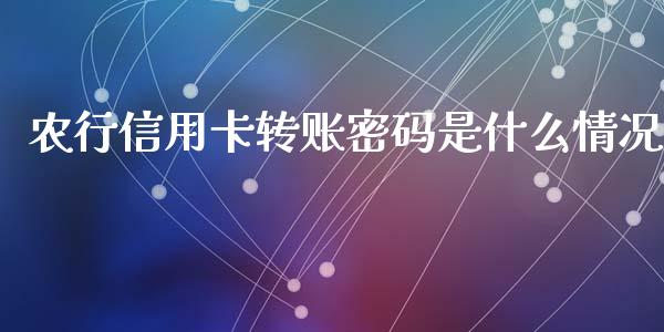 农行信用卡转账密码是什么情况_https://m.fansifence.com_消费金融_第1张