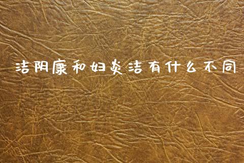 洁阴康和妇炎洁有什么不同_https://m.fansifence.com_消费金融_第1张