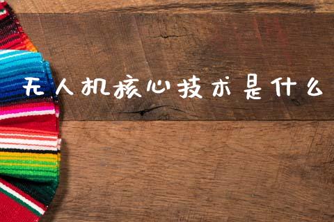 无人机核心技术是什么_https://m.fansifence.com_公募基金_第1张