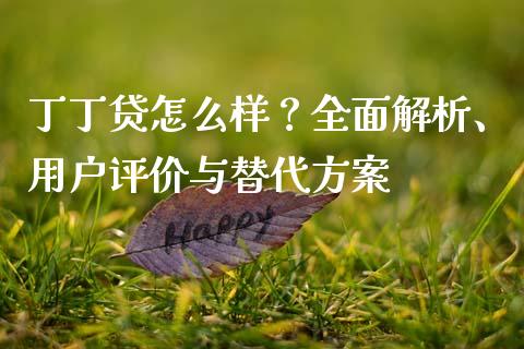 丁丁贷怎么样？全面解析、用户评价与替代方案_https://m.fansifence.com_公募基金_第1张