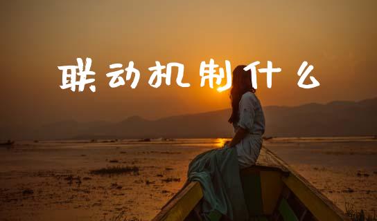 联动机制什么_https://m.fansifence.com_公募基金_第1张