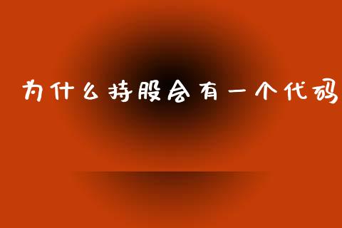 为什么持股会有一个代码_https://m.fansifence.com_个股行情_第1张