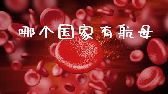 哪个国家有航母_https://m.fansifence.com_贵金属行情_第1张