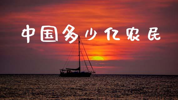中国多少亿农民_https://m.fansifence.com_公募基金_第1张