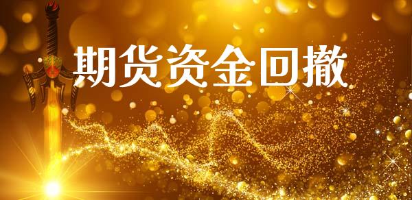 期货资金回撤_https://m.fansifence.com_公募基金_第1张