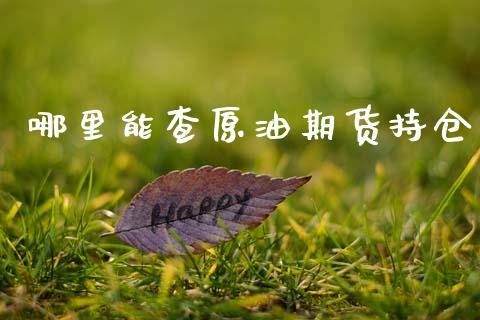 哪里能查原油期货持仓_https://m.fansifence.com_贵金属行情_第1张