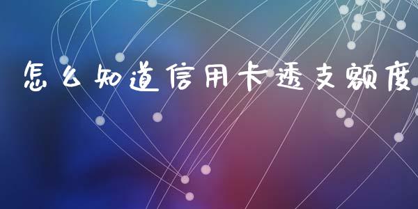 怎么知道信用卡透支额度_https://m.fansifence.com_公募基金_第1张