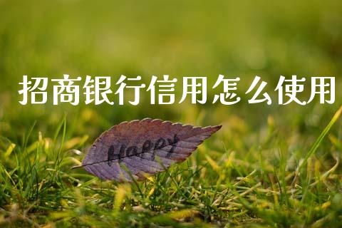 招商银行信用怎么使用_https://m.fansifence.com_公募基金_第1张