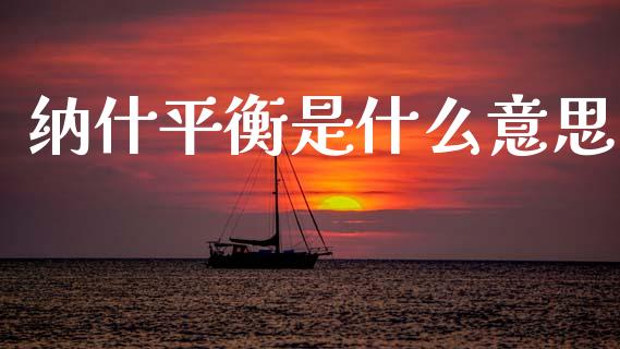 纳什平衡是什么意思_https://m.fansifence.com_公募基金_第1张