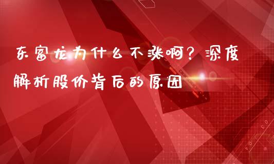 东富龙为什么不涨啊？深度解析股价背后的原因_https://m.fansifence.com_公募基金_第1张
