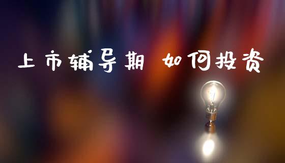 上市辅导期 如何投资_https://m.fansifence.com_消费金融_第1张