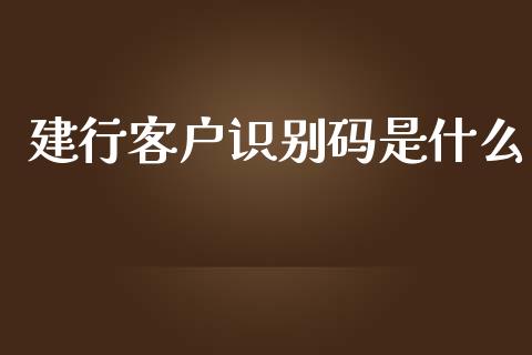 建行客户识别码是什么_https://m.fansifence.com_贵金属行情_第1张