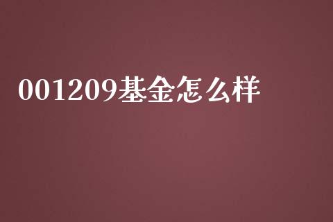 001209基金怎么样_https://m.fansifence.com_公募基金_第1张