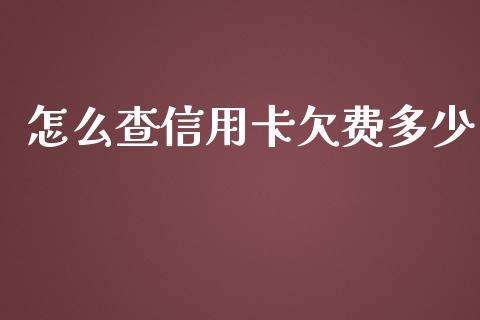 怎么查信用卡欠费多少_https://m.fansifence.com_公募基金_第1张
