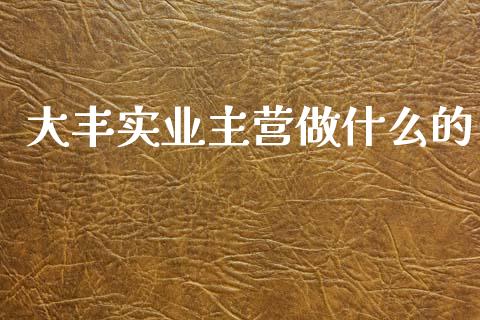 大丰实业主营做什么的_https://m.fansifence.com_个股行情_第1张