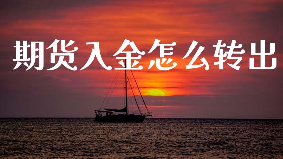 期货入金怎么转出_https://m.fansifence.com_贵金属行情_第1张