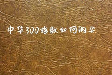 中华300指数如何购买_https://m.fansifence.com_消费金融_第1张