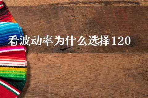 看波动率为什么选择120_https://m.fansifence.com_消费金融_第1张