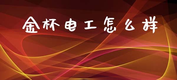 金杯电工怎么样_https://m.fansifence.com_公募基金_第1张