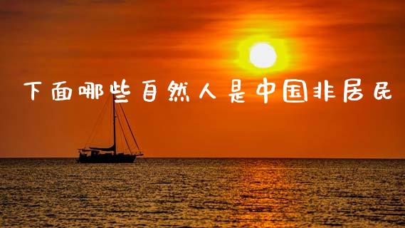 下面哪些自然人是中国非居民_https://m.fansifence.com_个股行情_第1张