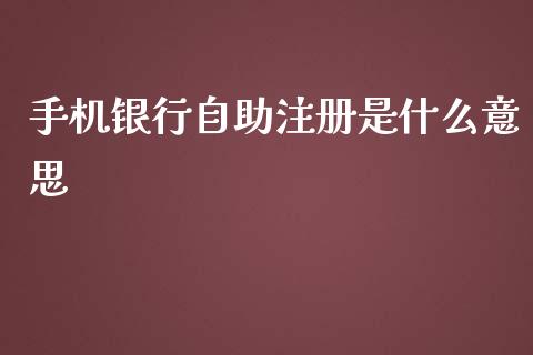 手机银行自助注册是什么意思_https://m.fansifence.com_消费金融_第1张