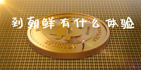 到朝鲜有什么体验_https://m.fansifence.com_个股行情_第1张