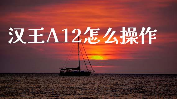 汉王A12怎么操作_https://m.fansifence.com_公募基金_第1张