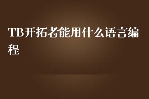 TB开拓者能用什么语言编程_https://m.fansifence.com_个股行情_第1张