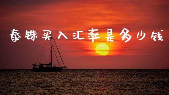 泰铢买入汇率是多少钱_https://m.fansifence.com_公募基金_第1张