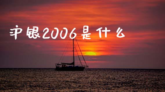 沪银2006是什么_https://m.fansifence.com_公募基金_第1张