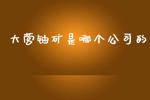 大营铀矿是哪个公司的_https://m.fansifence.com_公募基金_第1张