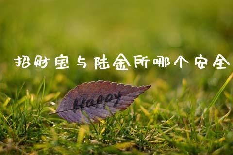 招财宝与陆金所哪个安全_https://m.fansifence.com_个股行情_第1张