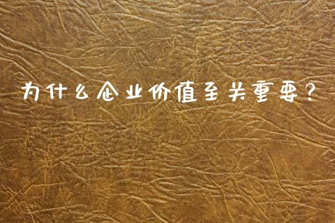 为什么企业价值至关重要？_https://m.fansifence.com_个股行情_第1张