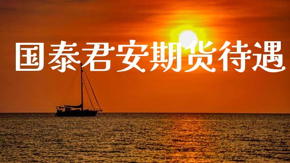 国泰君安期货待遇_https://m.fansifence.com_消费金融_第1张