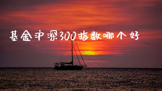 基金沪深300指数哪个好_https://m.fansifence.com_公募基金_第1张