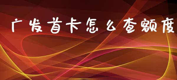 广发首卡怎么查额度_https://m.fansifence.com_消费金融_第1张