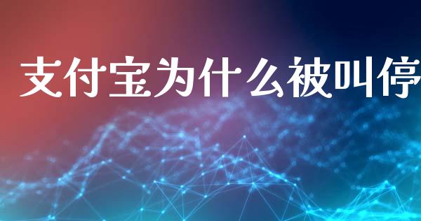 支付宝为什么被叫停_https://m.fansifence.com_消费金融_第1张
