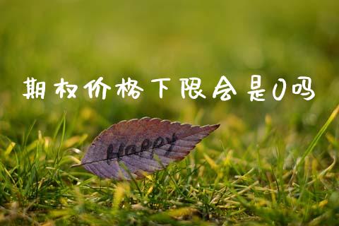 期权价格下限会是0吗_https://m.fansifence.com_消费金融_第1张