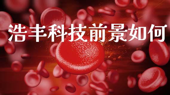 浩丰科技前景如何_https://m.fansifence.com_个股行情_第1张