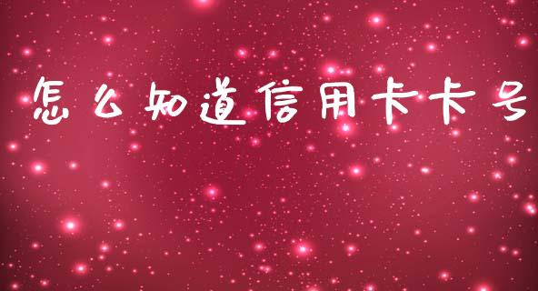 怎么知道信用卡卡号_https://m.fansifence.com_消费金融_第1张