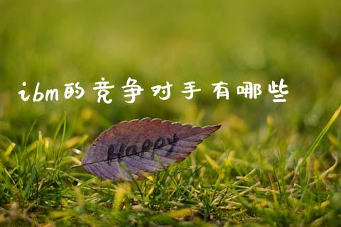 ibm的竞争对手有哪些_https://m.fansifence.com_消费金融_第1张