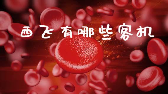 西飞有哪些客机_https://m.fansifence.com_公募基金_第1张