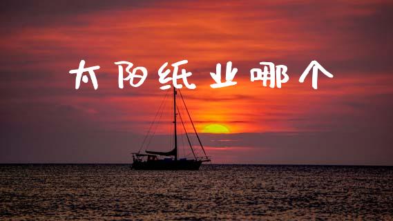 太阳纸业哪个_https://m.fansifence.com_个股行情_第1张