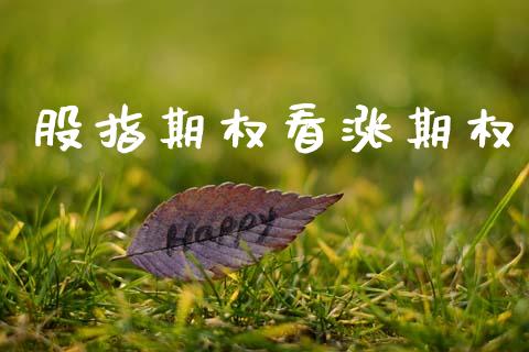 股指期权看涨期权_https://m.fansifence.com_消费金融_第1张