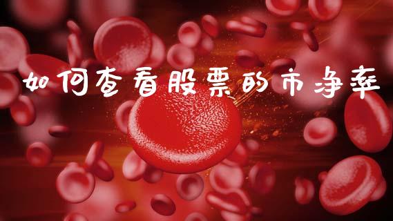 如何查看股票的市净率_https://m.fansifence.com_消费金融_第1张