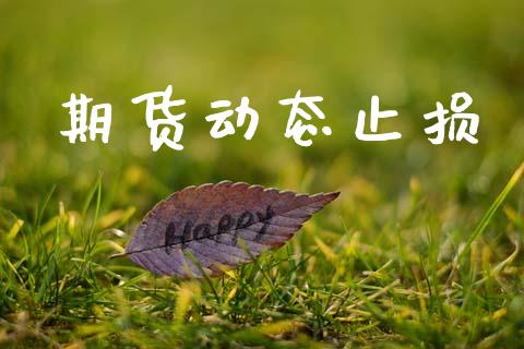期货动态止损_https://m.fansifence.com_个股行情_第1张