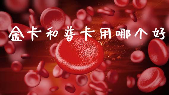 金卡和普卡用哪个好_https://m.fansifence.com_个股行情_第1张